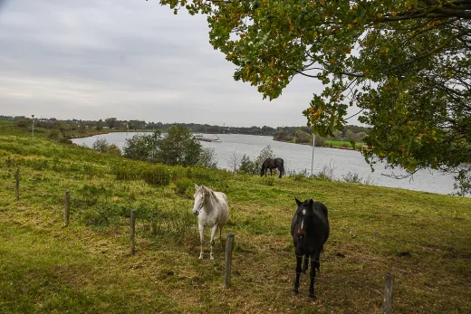 Niederlande