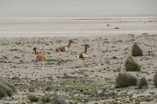 Peru
