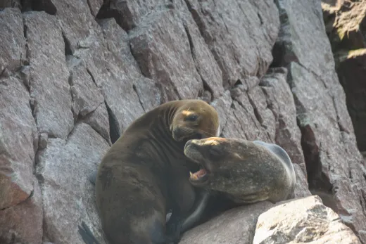 Peru