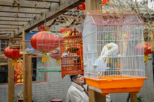 Beijing