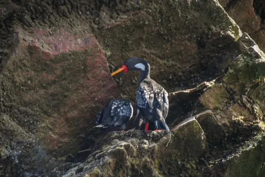 Peru