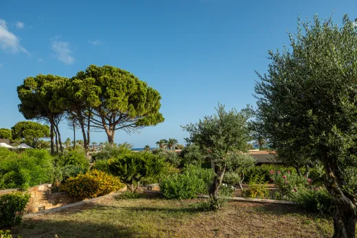Kreta