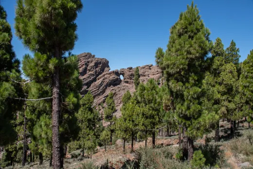 Gran Canaria