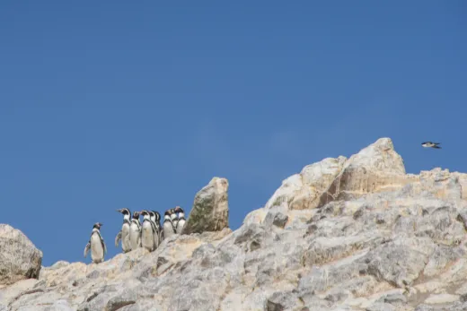 Peru