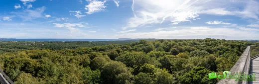 Rügen / Hiddensee