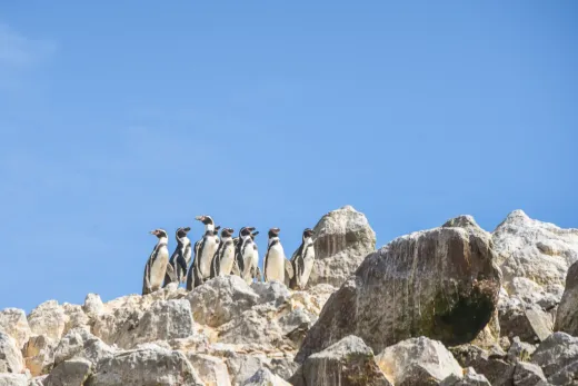 Peru
