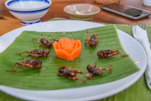 Vietnam