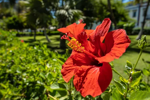 Gran Canaria
