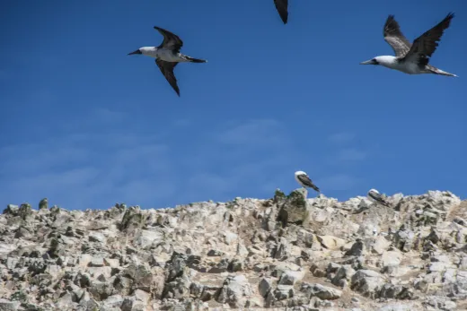 Peru