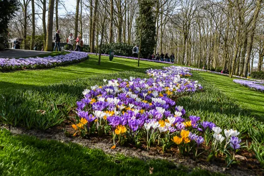 Niederlande