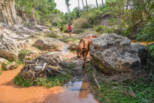 Vietnam