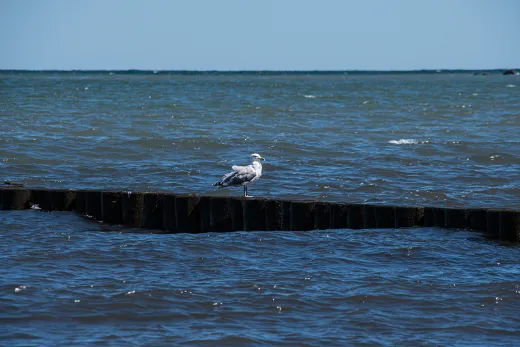 Rügen / Hiddensee
