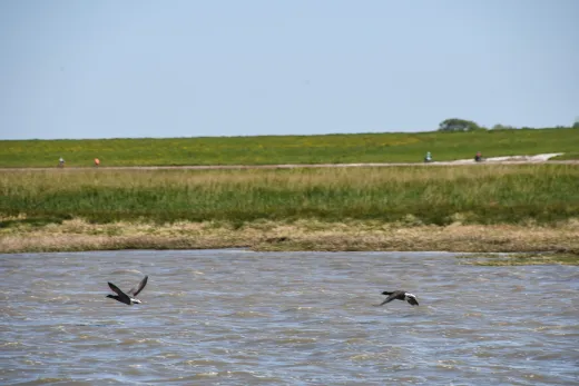Nordsee