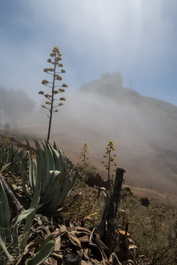 Gran Canaria