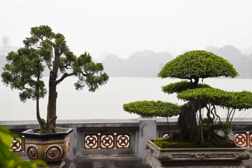 Vietnam