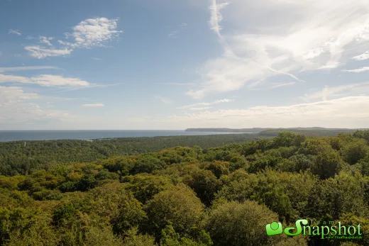 Rügen / Hiddensee