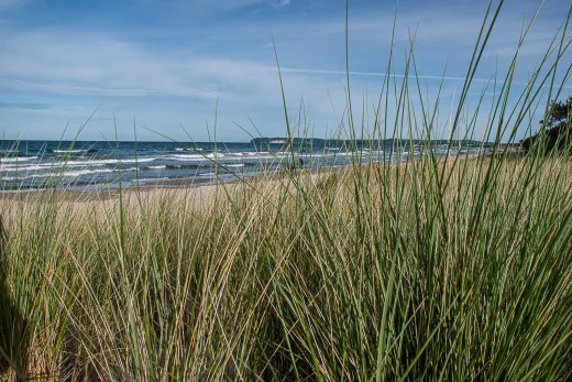 Rügen / Hiddensee