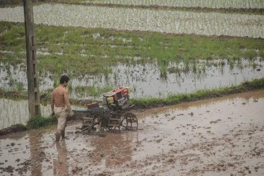 Vietnam
