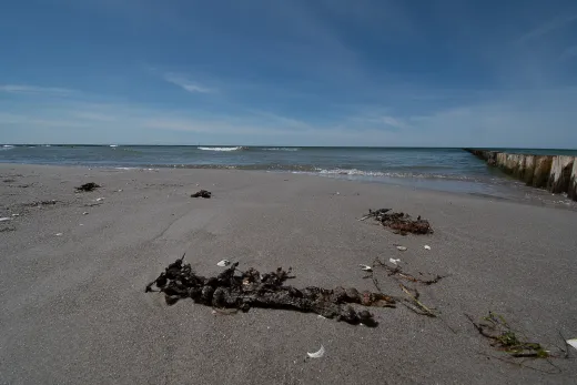 Rügen / Hiddensee