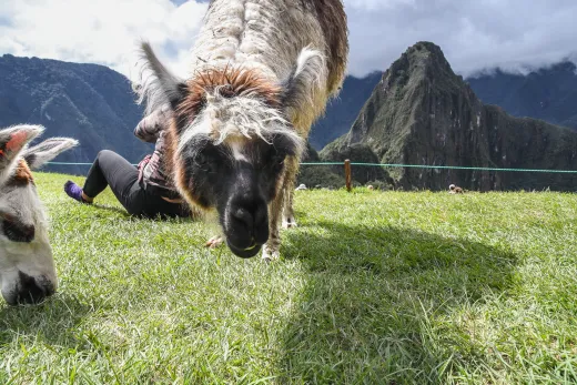 Peru