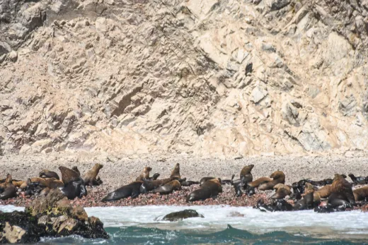 Peru