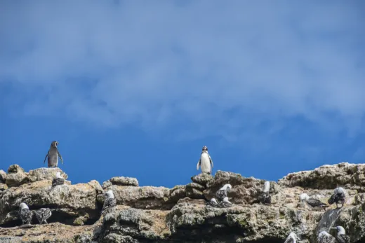 Peru