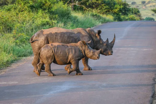Südafrika