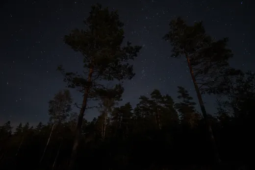 Schweden