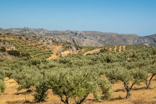 Kreta