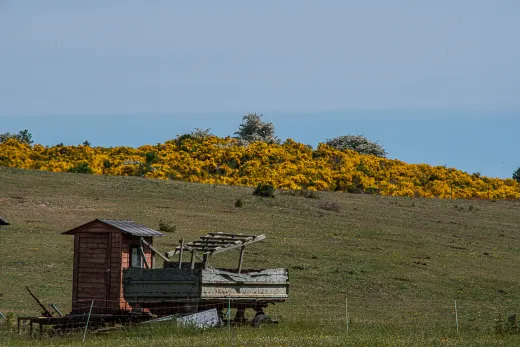 Rügen / Hiddensee
