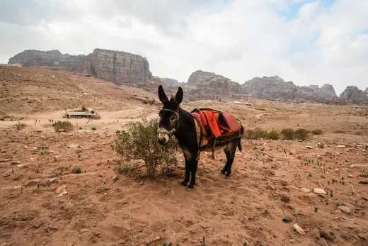 Jordanien