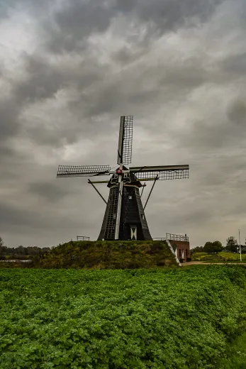 Niederlande