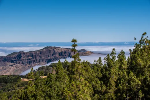 Gran Canaria