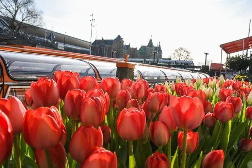 Niederlande